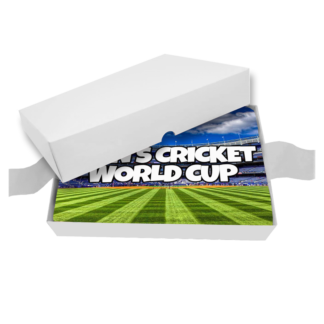 canvas cake with icc mens cricket world cup logo