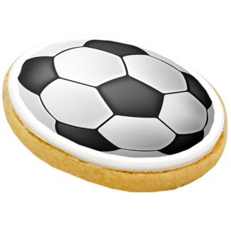 bespoke large biscuit for fifa womens world cup