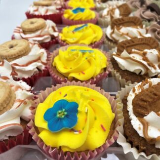 150 x Funky Cupcakes - £270.00