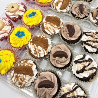 510 x Funky Cupcakes - £682.00