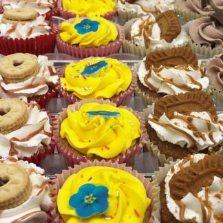 90 x Funky Cupcakes - £210.00
